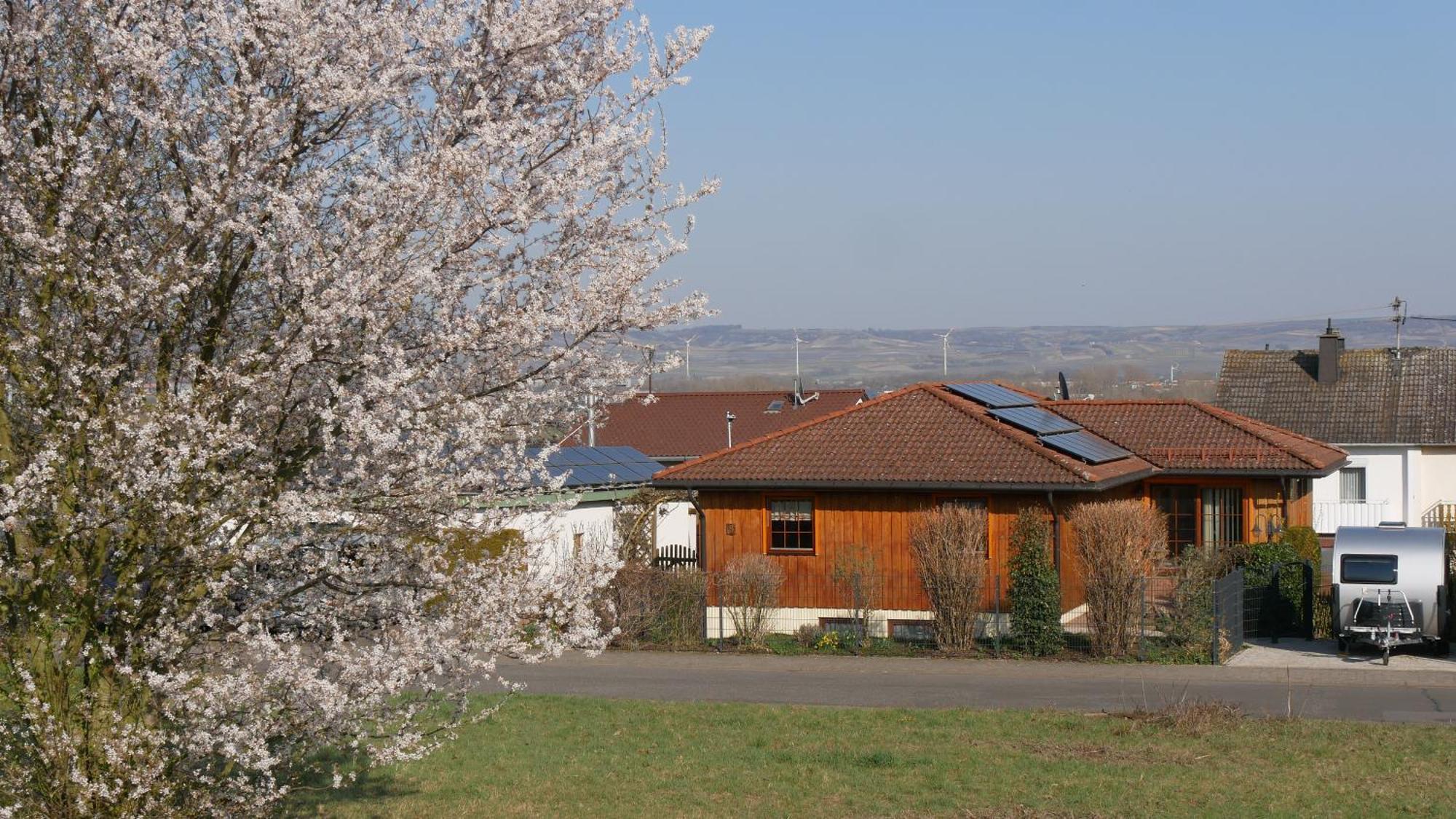 Ferienwohnung An Den Weingaerten Langenlonsheim Zewnętrze zdjęcie
